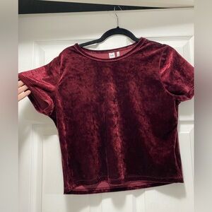 Velvet Crop Top